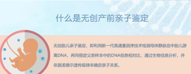 周口刚怀孕怎么鉴定孩子是谁的,周口孕期亲子鉴定费用是多少